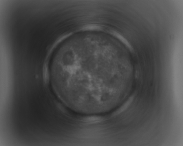 X0000100911117200807081118