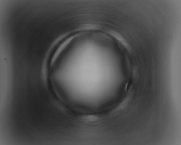 X0000100911119200807081118