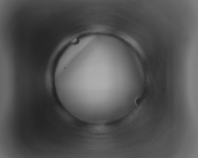 X0000100911120200807081118