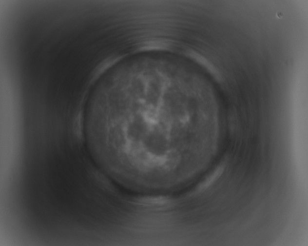 X0000100911121200807081118