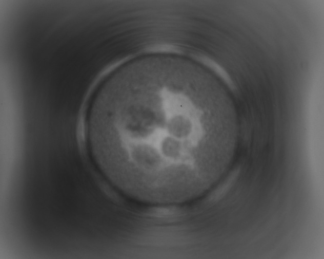 X0000100911125200807081118