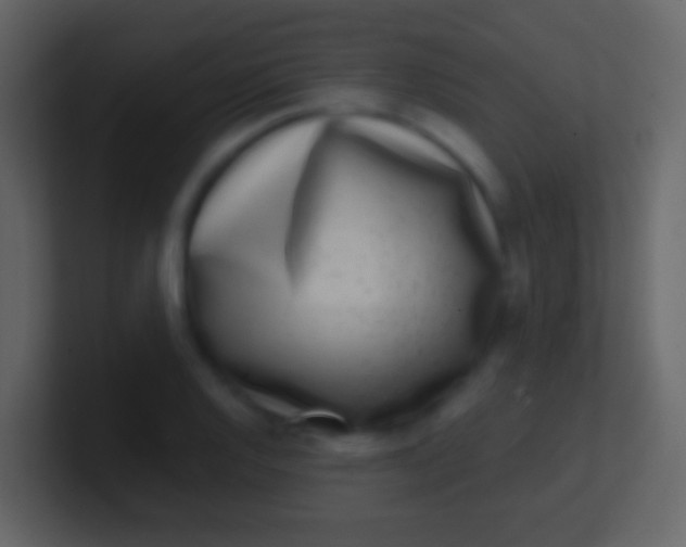 X0000100911128200807081118