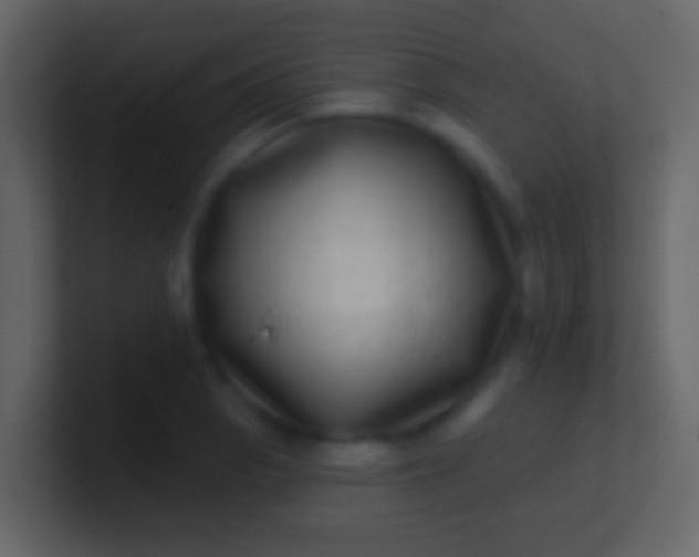 X0000100911129200807081118