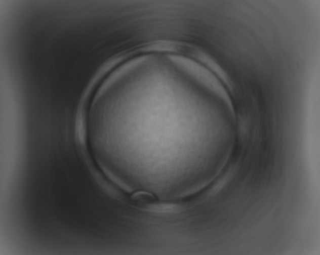 X0000100911131200807081118