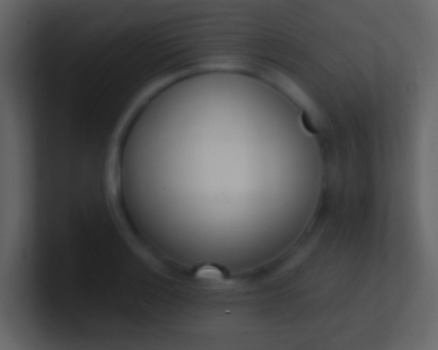 X0000100911132200807081118