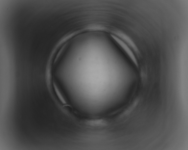 X0000100911133200807081118