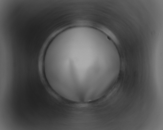 X0000100911136200807081118