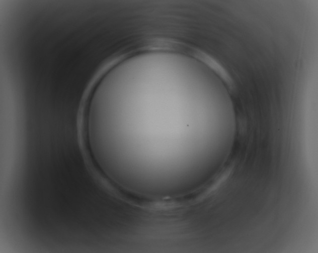 X0000100911138200807081118