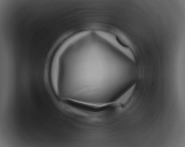 X0000100911139200807081118