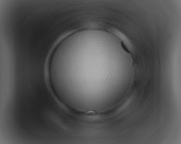 X0000100911141200807081119