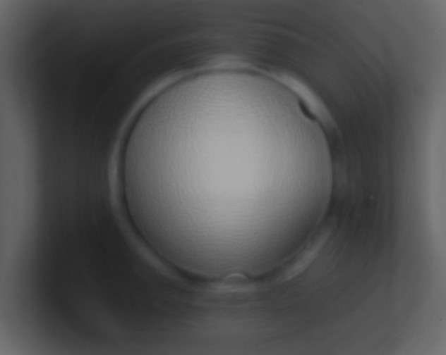 X0000100911142200807081119