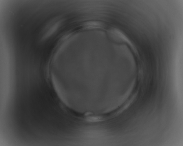 X0000100911145200807081119