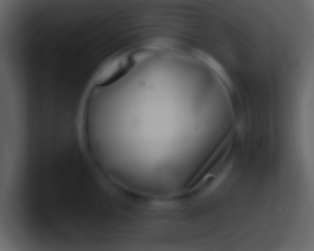 X0000100911146200807081119