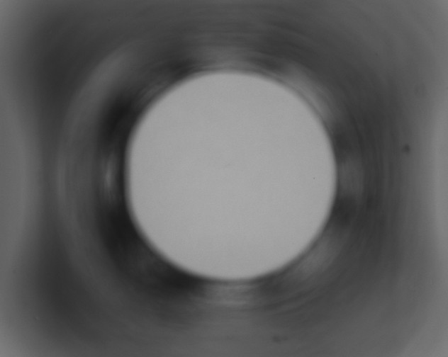 X0000100911150200807081119