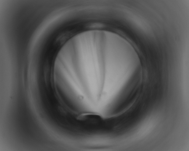 X0000100911151200807081119