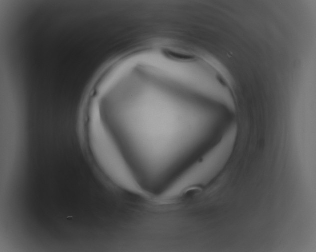 X0000100911152200807081119