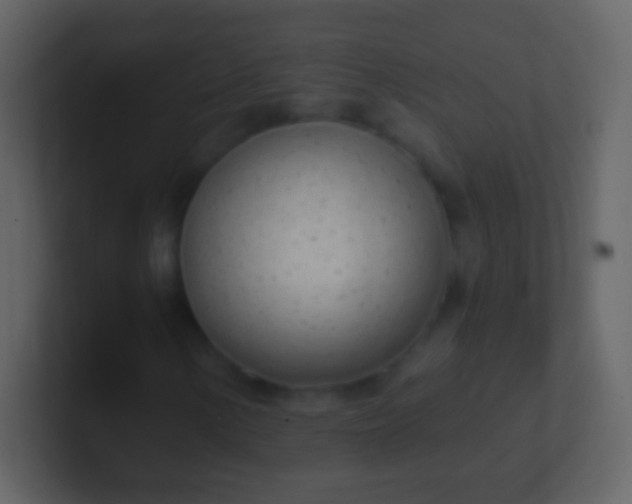 X0000100911154200807081118