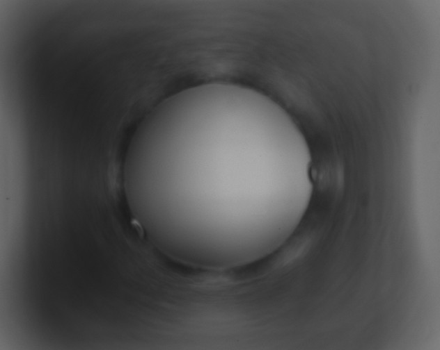 X0000100911156200807081118