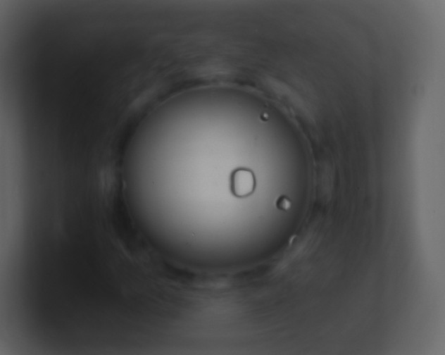 X0000100911157200807081118