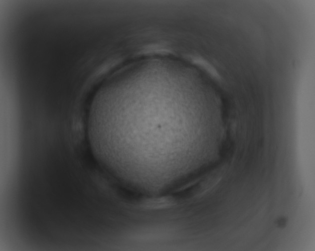 X0000100911159200807081118