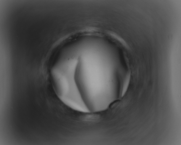X0000100911160200807081118