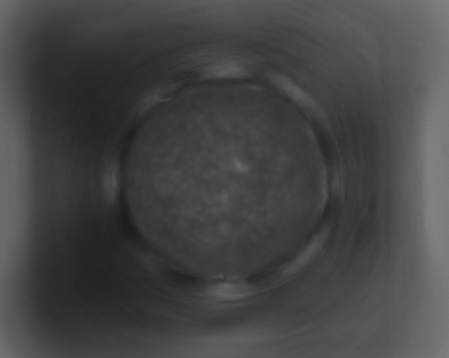 X0000100911161200807081118