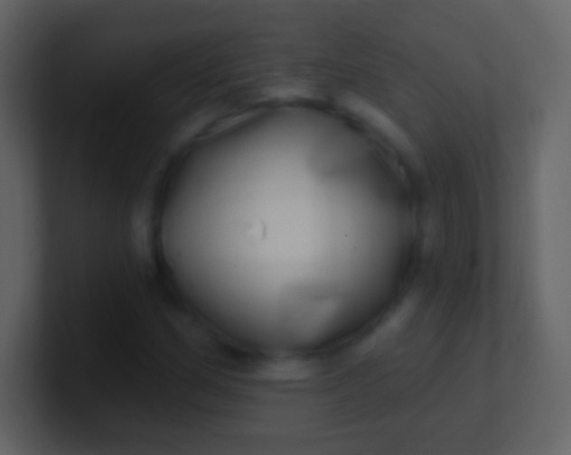 X0000100911162200807081118