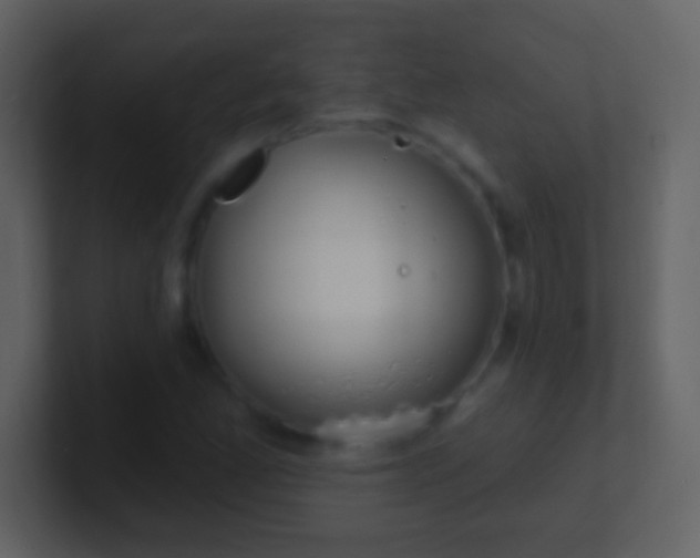 X0000100911165200807081118