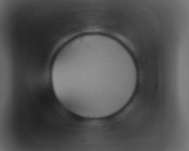 X0000100911167200807081118