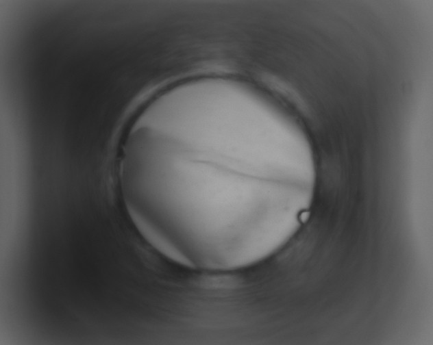 X0000100911168200807081118