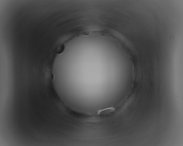 X0000100911169200807081118