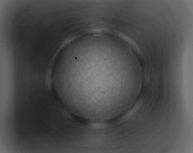X0000100911170200807081118