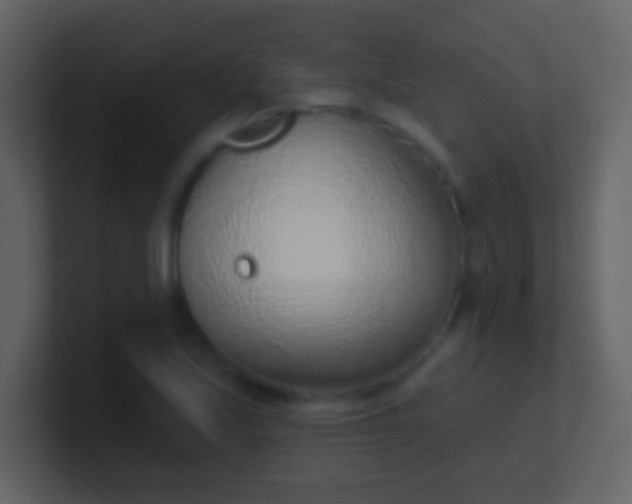 X0000100911171200807081118