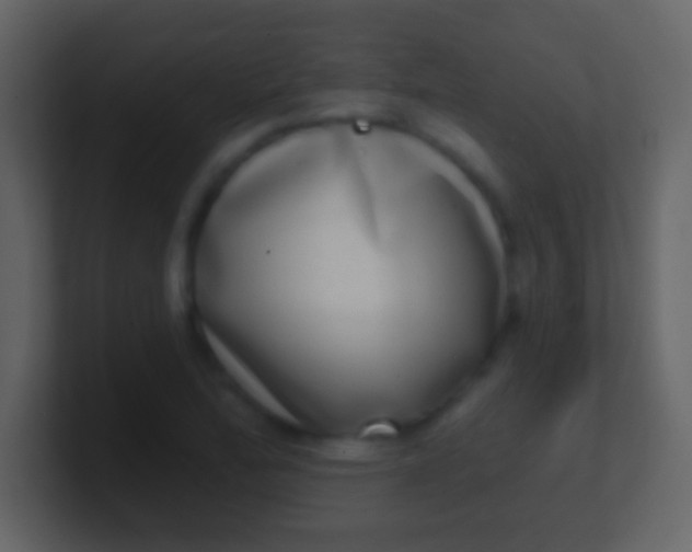 X0000100911172200807081118