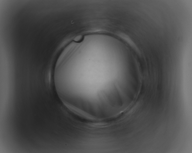 X0000100911173200807081118