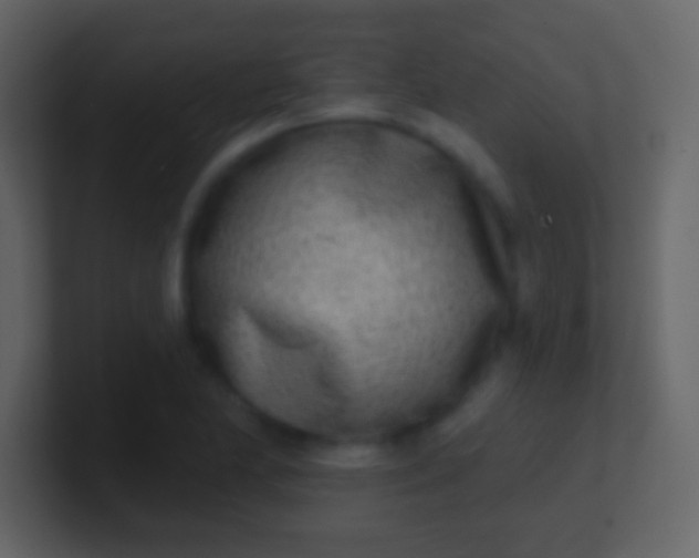 X0000100911174200807081118