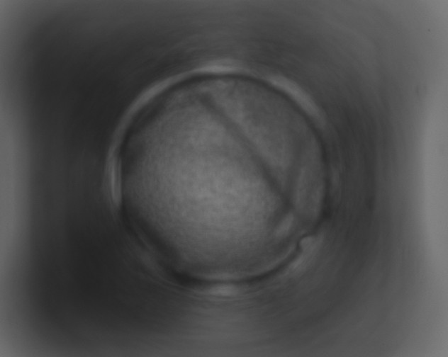 X0000100911175200807081118