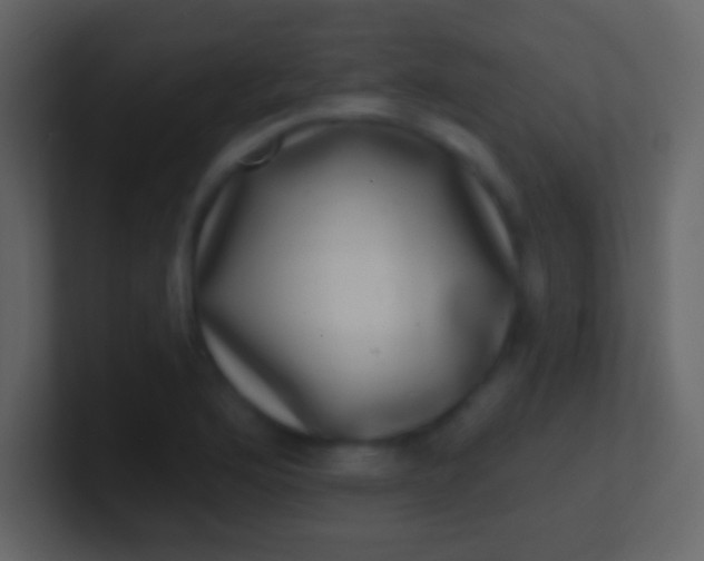 X0000100911176200807081118