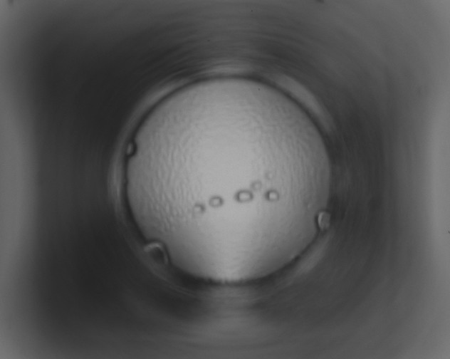 X0000100911179200807081118