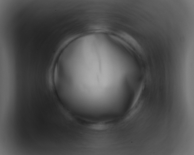 X0000100911182200807081118