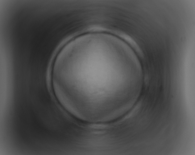 X0000100911183200807081118