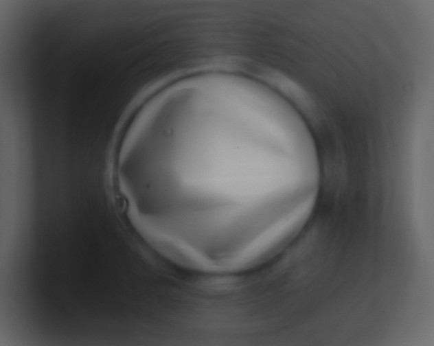 X0000100911184200807081118