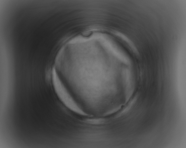 X0000100911185200807081118