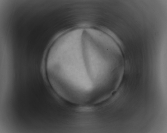 X0000100911187200807081118