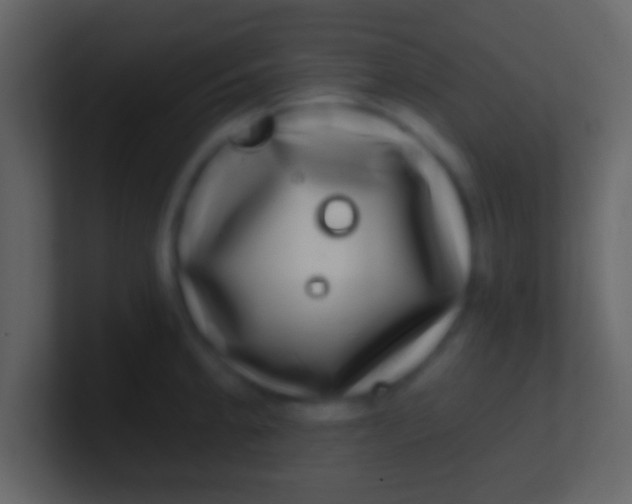 X0000100911189200807081118