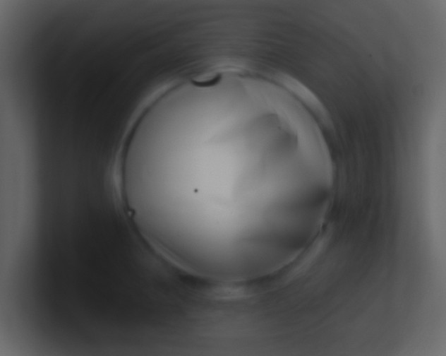 X0000100911190200807081117