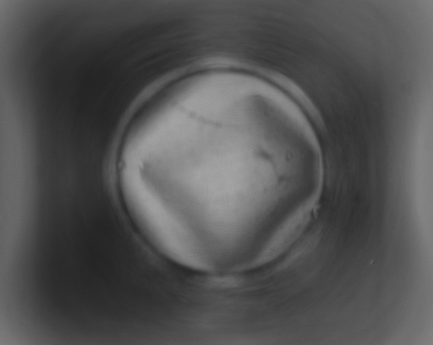 X0000100911191200807081117