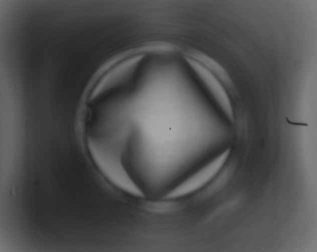 X0000100911192200807081117