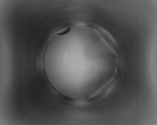 X0000100911194200807081117