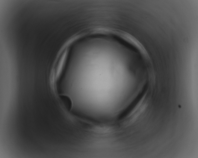 X0000100911198200807081117